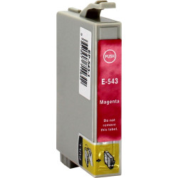 CartuÈ™ EP-543 C13T05434010 / T0543