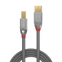 Cablu Lindy 3m USB 2.0 Type A to B Cromo, "LY-36643" (timbru verde 0.18 lei)