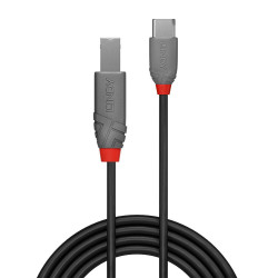 Cablu Lindy 2m USB 2.0 Tip A la Tip B "LY-36942" (timbru verde 0.18 lei)