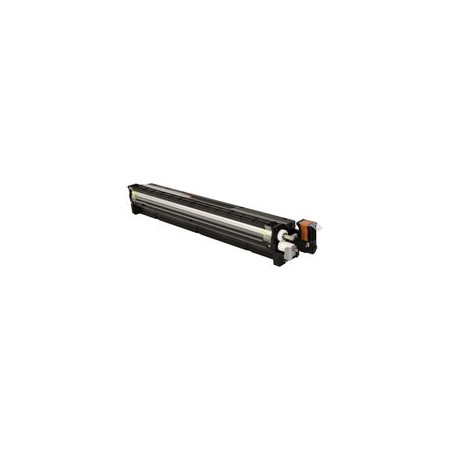 Developer Original Ricoh Black,D2443020, pentru MP C2004|MP C2504, 180K, incl.TV 1.2 RON, "D2443020"