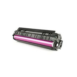 Developer Original Ricoh Magenta,D2443022, pentru MP C2004|MP C2504, 120K, incl.TV 1.2 RON, "D2443022"