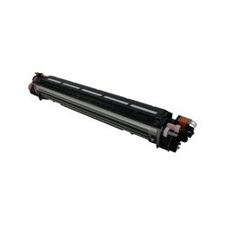 Developer Original Ricoh Magenta,D2423093, pentru MP C4504|MP C5504|MP C6004|MP C501, 270K, incl.TV 1.2 RON, "D2423093"