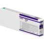 Cartus Cerneala Original Epson Violet, , pentru , ,  (timbru verde 1.2 lei),  "C13T55KD00"