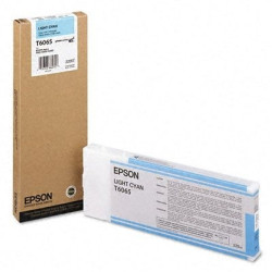 Cartus Cerneala Original Epson Light Cyan, , pentru , ,  (timbru verde 1.2 lei),  "C13T606500"